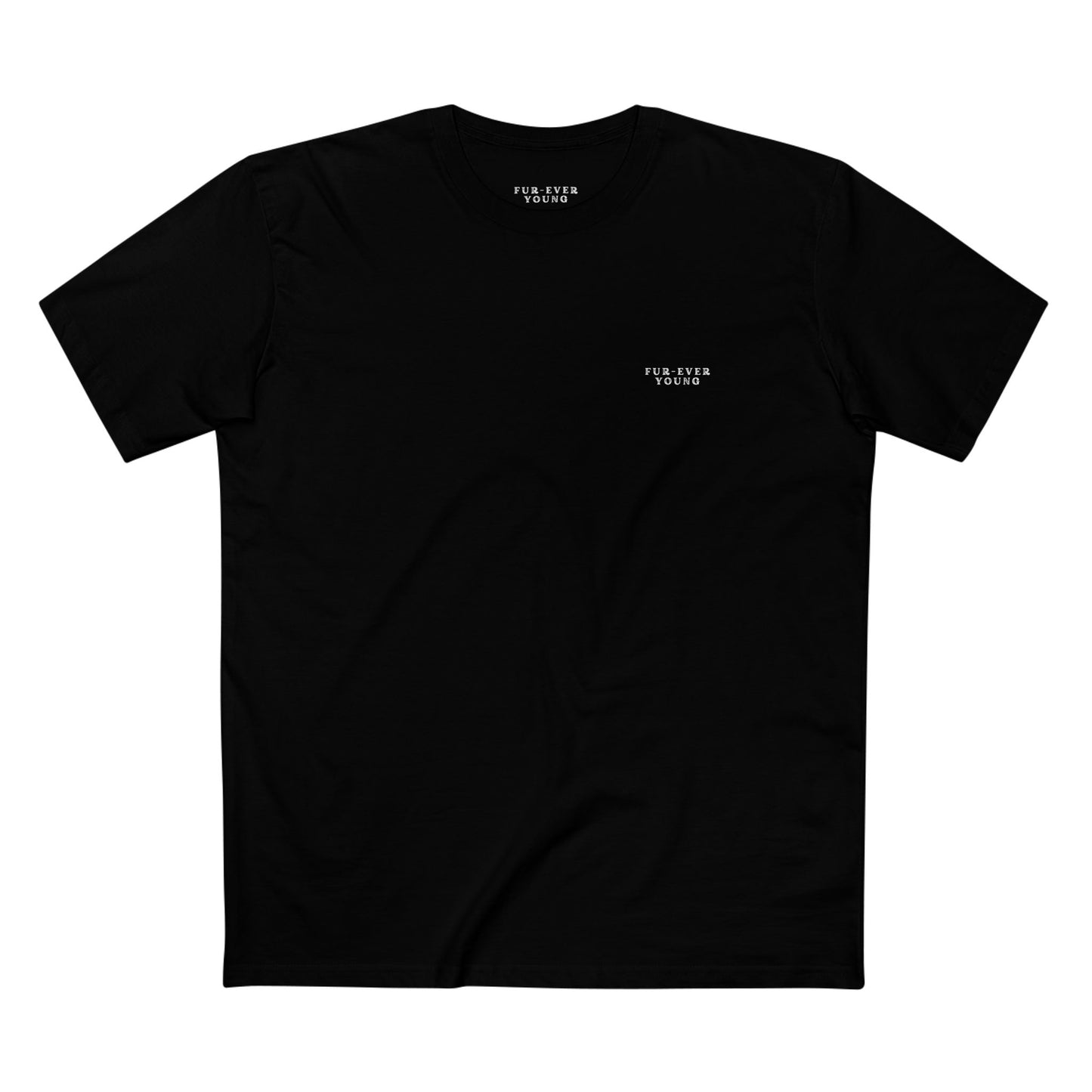 Witchy Whiskers Night - Cotton T-shirt